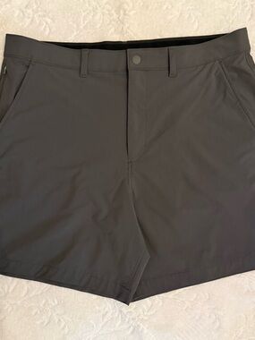 American Eagle Outfitters Men's Dark Gray Flat Front Shorts